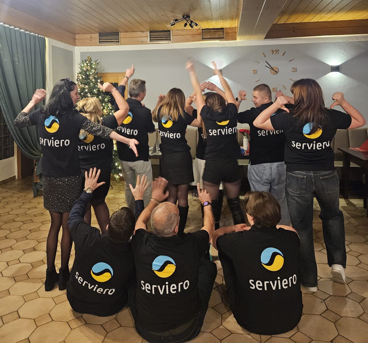 Serviero cleaning professionals